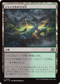 【JPN】ジャングルのうろ穴/Jungle Hollow [MTG_DFT_0256_C]