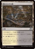 【JPN】磨かれたやせ地/Scoured Barrens [MTG_DFT_0263_C]