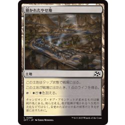 画像1: 【JPN】磨かれたやせ地/Scoured Barrens [MTG_DFT_0263_C]