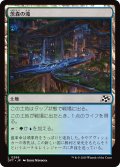 【JPN】茨森の滝/Thornwood Falls [MTG_DFT_0266_C]