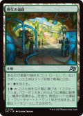 【JPN】野生の道路/Wild Roads [MTG_DFT_0269_U]