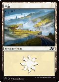 【JPN】平地/Plains No.277 [MTG_DFT_0277_C]