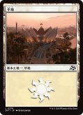 【JPN】平地/Plains No.278 [MTG_DFT_0278_C]