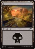 【JPN】沼/Swamp No.283 [MTG_DFT_0283_C]