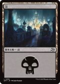 【JPN】沼/Swamp No.285 [MTG_DFT_0285_C]