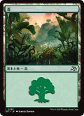 【JPN】森/Forest No.289 [MTG_DFT_0289_C]