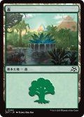 【JPN】森/Forest No.290 [MTG_DFT_0290_C]