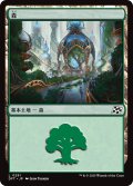 【JPN】森/Forest No.291 [MTG_DFT_0291_C]