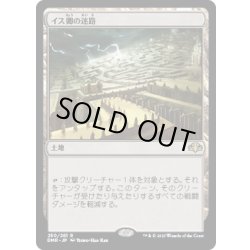 画像1: 【JPN】★Foil★イス卿の迷路/Maze of Ith[MTG_DMR_250R]