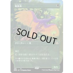 画像1: 【JPN】★Foil★極楽鳥/Birds of Paradise[MTG_DMR_439R]