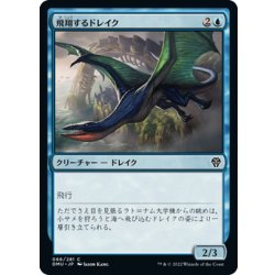 画像1: 【JPN】飛翔するドレイク/Soaring Drake[MTG_DMU_066C]