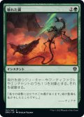 【JPN】壊れた翼/Broken Wings[MTG_DMU_157C]