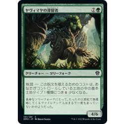 画像1: 【JPN】ヤヴィマヤの滞留者/Yavimaya Sojourner[MTG_DMU_191C]