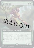【JPN】葉冠の幻想家/Leaf-Crowned Visionary[MTG_DMU_414R]