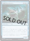 【JPN】★Foil★短剣口のメガロドン/Daggermaw Megalodon [MTG_DSK_0048_C]