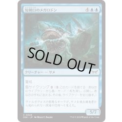 画像1: 【JPN】★Foil★短剣口のメガロドン/Daggermaw Megalodon [MTG_DSK_0048_C]
