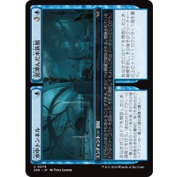 画像1: 【JPN】水中トンネル + 泥濘んだ水族館/Underwater Tunnel + Slimy Aquarium [MTG_DSK_0079_C]