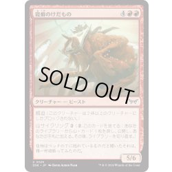 画像1: 【JPN】★Foil★寝癖のけだもの/Bedhead Beastie [MTG_DSK_0125_C]