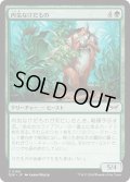 【JPN】★Foil★内気なけだもの/Bashful Beastie [MTG_DSK_0169_C]