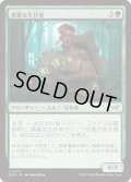 【JPN】★Foil★慎重な生存者/Cautious Survivor [MTG_DSK_0172_C]