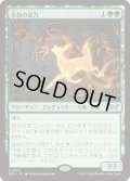 【JPN】永劫の活力/Enduring Vitality [MTG_DSK_0176_R]