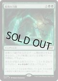 【JPN】★Foil★変異の力線/Leyline of Mutation [MTG_DSK_0188_R]