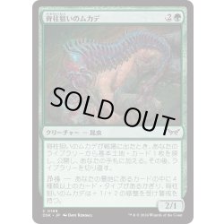 画像1: 【JPN】★Foil★脊柱狙いのムカデ/Spineseeker Centipede [MTG_DSK_0199_C]