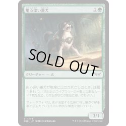 画像1: 【JPN】★Foil★用心深い番犬/Wary Watchdog [MTG_DSK_0206_C]