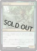 【JPN】★Foil★群れの巣人/The Swarmweaver[MTG_DSK_0236_R]