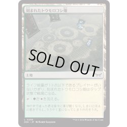 画像1: 【JPN】★Foil★刻まれたトウモロコシ畑/Etched Cornfield [MTG_DSK_0258_C]