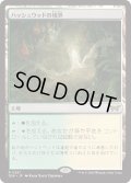 【JPN】★Foil★ハッシュウッドの境界/Hushwood Verge [MTG_DSK_0261_R]