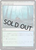 【JPN】★Foil★湖畔の掘立小屋/Lakeside Shack [MTG_DSK_0262_C]