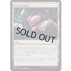 画像1: 【JPN】★Foil★広漠なる変幻地/Terramorphic Expanse [MTG_DSK_0269_C]