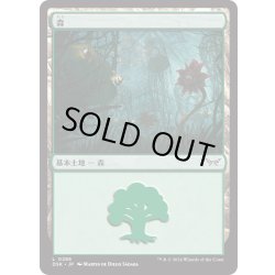 画像1: 【JPN】★Foil★森/Forest[MTG_DSK_0285_C]