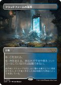 【JPN】フラッドファームの境界/Floodfarm Verge [MTG_DSK_0330_R]