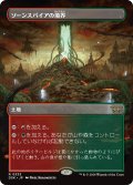 【JPN】ソーンスパイアの境界/Thornspire Verge [MTG_DSK_0333_R]