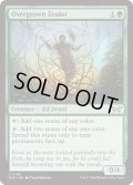 【ENG】★Foil★草むした盲信者/Overgrown Zealot [MTG_DSK_0193_U]