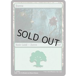 画像1: 【ENG】★Foil★森/Forest[MTG_DSK_0285_C]