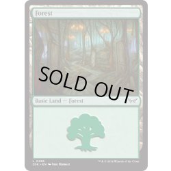 画像1: 【ENG】★Foil★森/Forest[MTG_DSK_0286_C]
