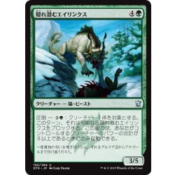画像1: 【JPN】隠れ潜むエイリンクス/Lurking Arynx[MTG_DTK_192U]