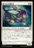 【JPN】闇うねりの導き手/Meanders Guide [MTG_ECL_0025_U]