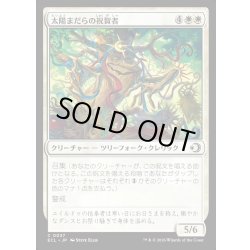 画像1: 【JPN】★Foil★太陽まだらの祝賀者/Sun-Dappled Celebrant [MTG_ECL_0037_C]