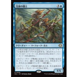 画像1: 【JPN】浅瀬の闘士/Champions of the Shoal [MTG_ECL_0046_R]