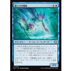 画像1: 【JPN】銀エラの導師/Silvergill Mentor [MTG_ECL_0069_U]