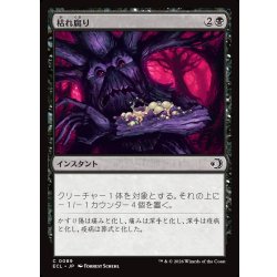 画像1: 【JPN】枯れ腐り/Blight Rot [MTG_ECL_0089_C]