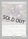 【JPN】★Foil★怪異の闘士/Champion of the Weird [MTG_ECL_0095_R]