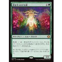 画像1: 【JPN】花を手入れする者/Bloom Tender [MTG_ECL_0166_M]