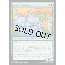 画像1: 【JPN】★Foil★食らいつく変わり身/Chomping Changeling [MTG_ECL_0172_U]