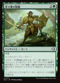 【JPN】光り葉の抱擁/Gilt-Leaf's Embrace [MTG_ECL_0177_C]