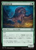 【JPN】発光軟体生物/Luminollusk [MTG_ECL_0179_U]